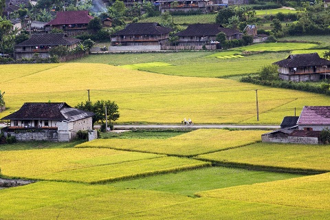 Lãng du với vẻ đẹp ấn tượng Bắc Sơn